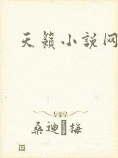 天籁小说网封面