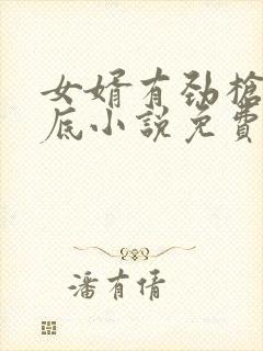 女婿有劲枪枪到底小说免费阅读封面