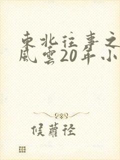 东北往事之黑道风云20年小说