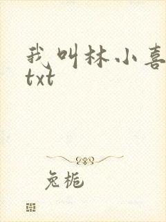 我叫林小喜小说txt封面