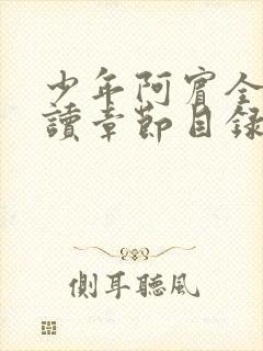 少年阿宾全文阅读章节目录封面