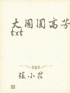 大团圆高芳小说txt