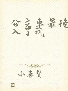 公交车最后一排入了我