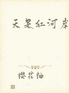 天是红河岸小说封面