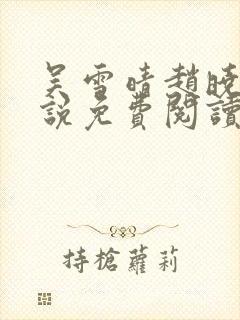 吴雪晴赵晓东小说免费阅读