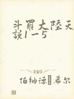 斗罗大陆天狂传说1一5