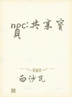 npc:共享宝贝