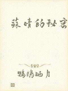 苏晴的秘密小说