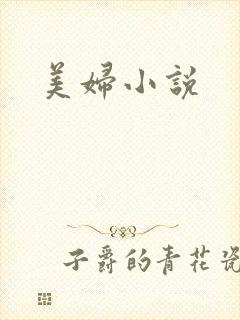 美妇小说