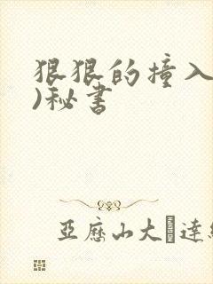 狠狠的撞入(h)秘书