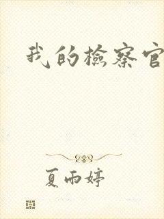 我的检察官先生