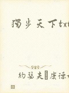 独步天下txt封面