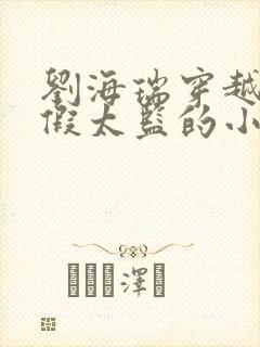 刘海瑞穿越后宫假太监的小说封面