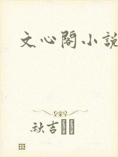 文心阁小说