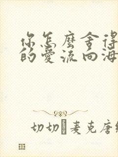 你怎么舍得让我的爱流向海