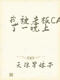 我被老板CAO了一晚上封面