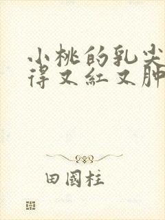 小桃的乳尖被吸得又红又肿