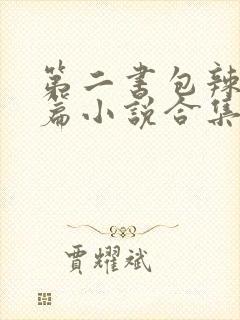 第二书包辣网短篇小说合集封面