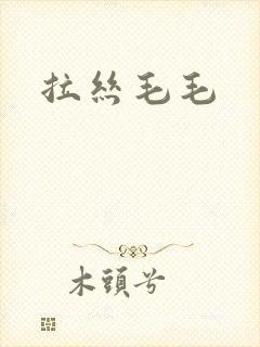 拉丝毛毛