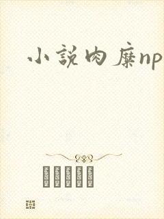 小说肉糜np封面