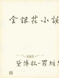 金银花小说乐可