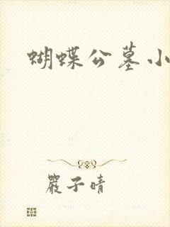 蝴蝶公墓小说封面