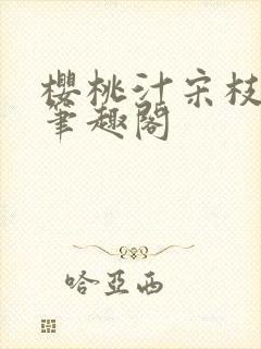 樱桃汁宋枝江野笔趣阁