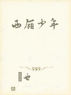 西厢少年