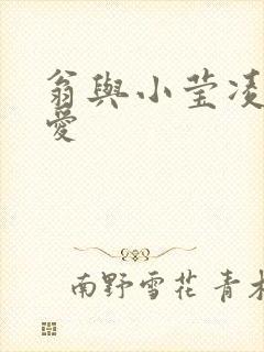 翁与小莹凌晨欢爱