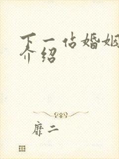 下一站婚姻剧情介绍