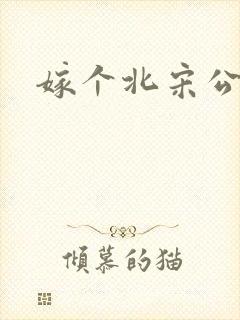 嫁个北宋公务员