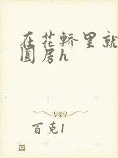 在花轿里就开始圆房h封面