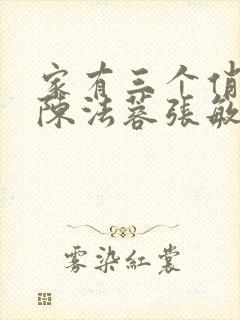 家有三个俏媳妇陈法蓉张敏