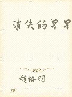 消失的星星封面