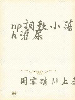 np调教小荡货h灌尿