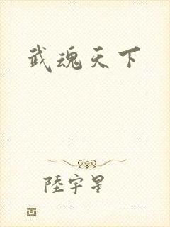 武魂天下封面
