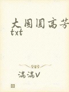 大团圆高芳小说txt