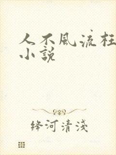 人不风流枉少年小说