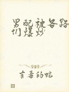 男配被各路大佬们爆炒封面