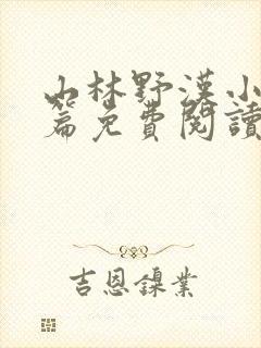 山林野汉小说全篇免费阅读