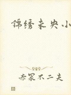 锦绣未央小说