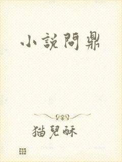 小说问鼎