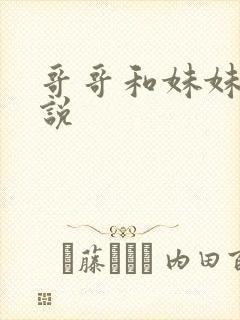 哥哥和妹妹的小说