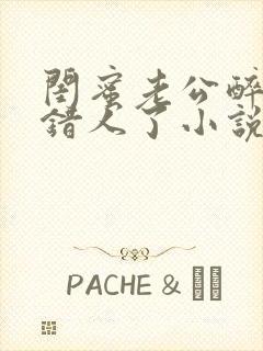 闺蜜老公醉酒认错人了小说全文阅读