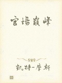 官场巅峰