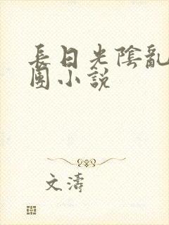 长日光阴乱作一团小说