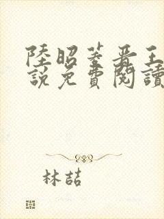 陆昭菱晋王的小说免费阅读