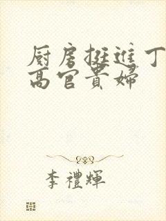 厨房挺进丁字裤高官贵妇