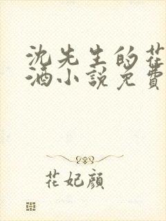 沈先生的花式调酒小说免费阅读封面