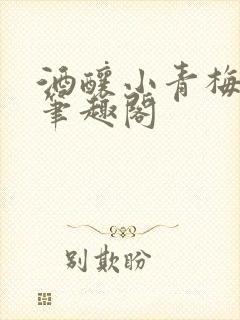 酒酿小青梅po笔趣阁